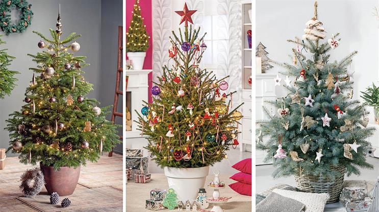 Christmas trees